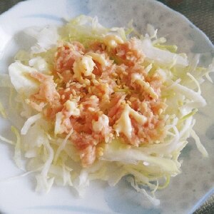 納豆のからし救済☆キャベツとツナのマヨからしサラダ